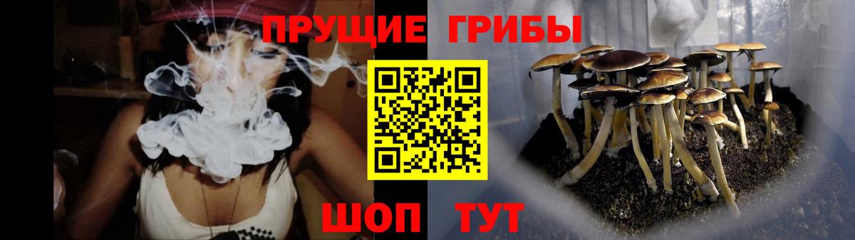 Галлюциногенные грибы мицелий  Вход с VPN  сколько стоит  Псилоцибиновые грибы Cubensis  Хасавюрт 
