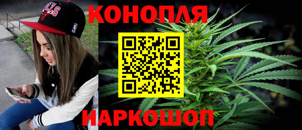 Бошки марихуана планчик  Вход с VPN  Марихуана гибрид  Хасавюрт  Бошки Шишки MAZAR 